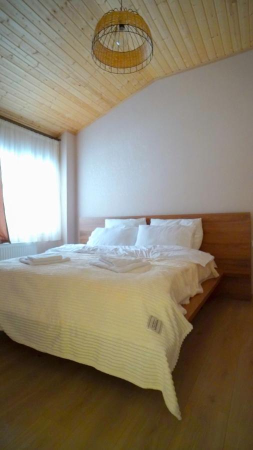 Zarku Apartments Bakuriani Eksteriør billede